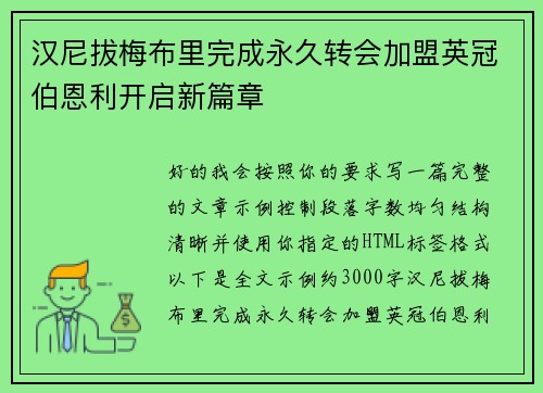 汉尼拔梅布里完成永久转会加盟英冠伯恩利开启新篇章