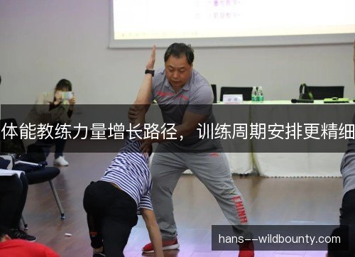 体能教练力量增长路径，训练周期安排更精细
